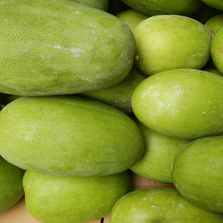 Fresh ash gourd (winter melon)