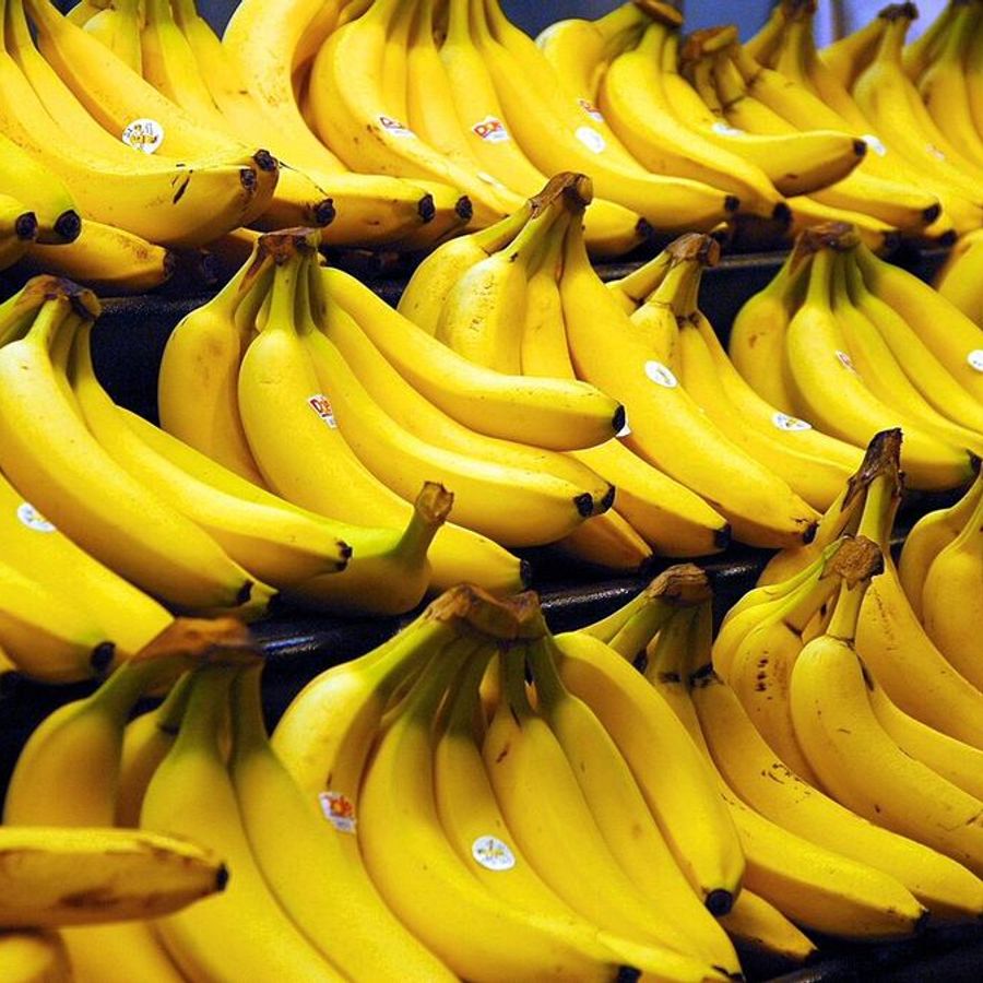 Fresh bananas
